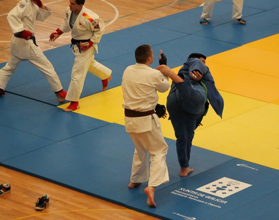 Jiu-Jitsu